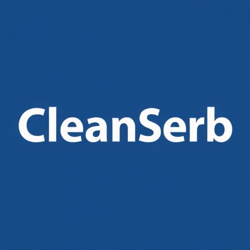 CleanSerb Logo